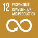 SDG 5