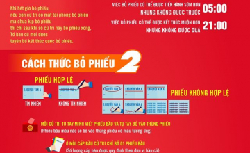 Quy trình, nguyên tắc và thông tin bầu cử