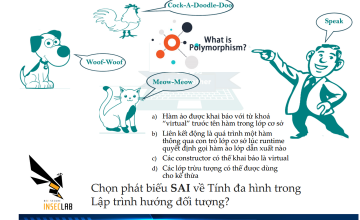 Hàm Ảo và Tính Đa hình trong Lập trình hướng đối tượng (Object Oriented Programming - OOP)